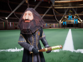 Harry Potter Quidditch-Meister